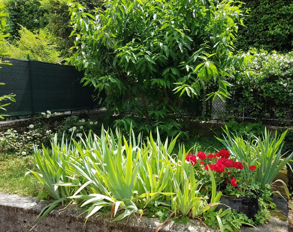 Casa Irina Apartment ริวาเดลการ์ดา ภายนอก รูปภาพ
